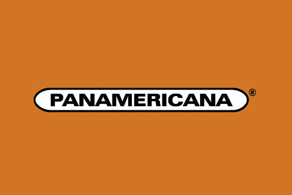 Usa tu cupo Brilla Efigas para un crédito en Panamericana